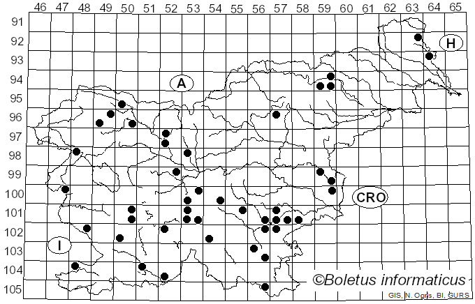 <i>Calonarius atrovirens</i> (Kalchbr.) Niskanen & Liimat. (2022)