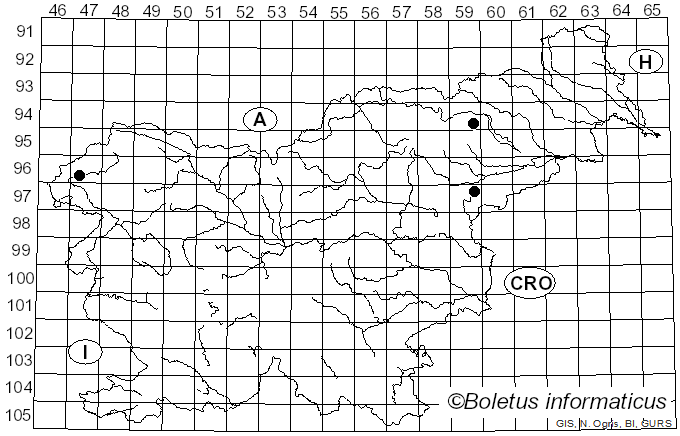 <i>Hebeloma pseudofragilipes</i> Beker, Vesterh. & U. Eberh. (2015)