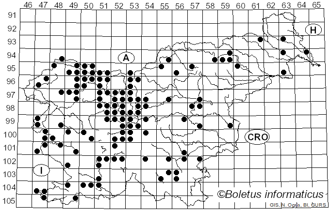 <i>Puccinia</i> Pers. (1794)