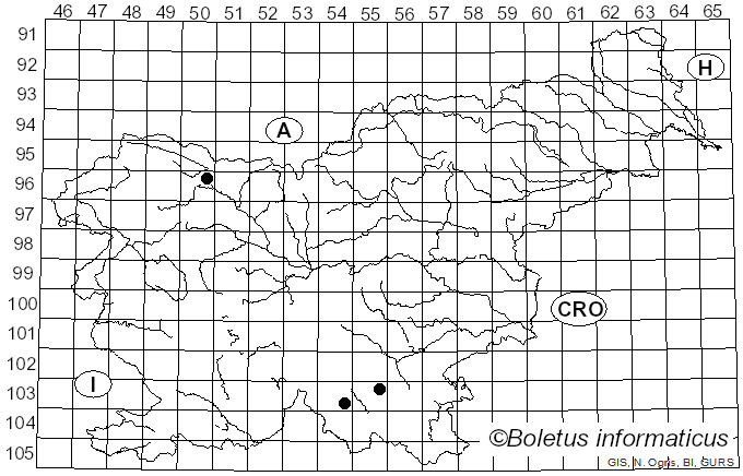 <i>Gyrophanopsis polonensis</i> (Bres.) Stalpers & P.K. Buchanan (1991)