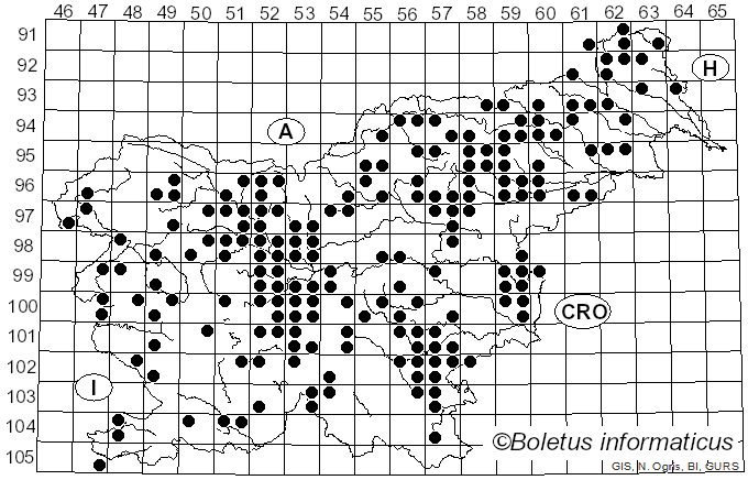 <i>Armillaria ostoyae</i> (Romagn.) Herink (1973)