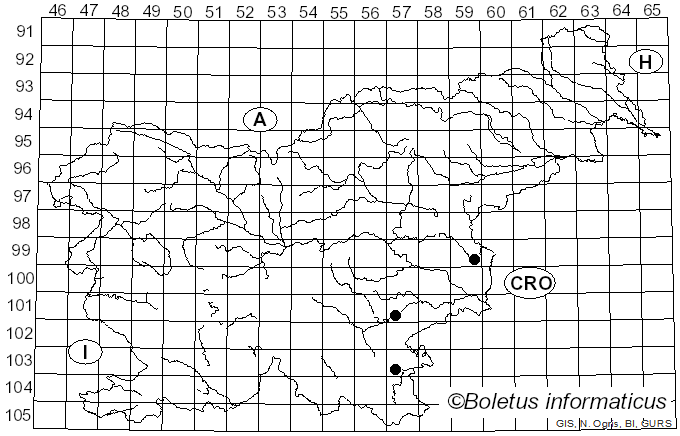 <i>Amanita simulans</i> Contu (1999)