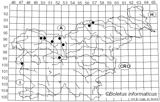 <i>Pseudomicrostroma juglandis</i> (Bérenger) Kijporn. & Aime (2017)