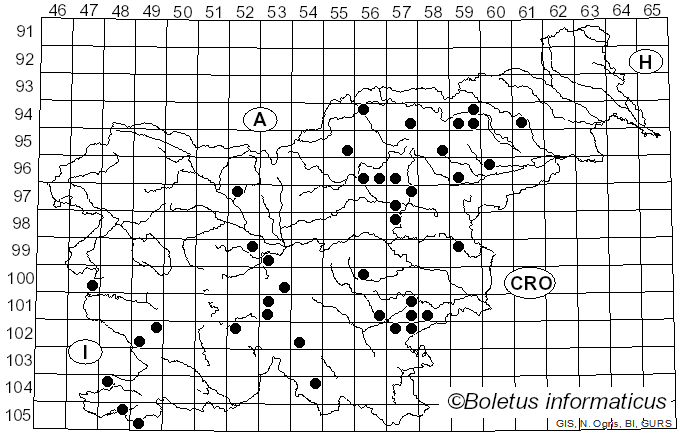 <i>Russula decipiens</i> (Singer) Kühner & Romagn. (1985)