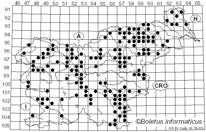 <i>Bovista</i> Pers. (1794)