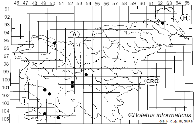 <i>Sydowia polyspora</i> (Bref. & Tavel) E. Müll. (1953)