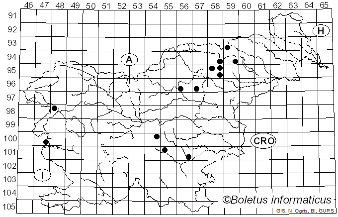 <i>Cortinarius armeniacus</i> (Schaeff.) Fr.