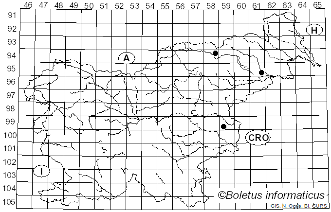 <i>Stereum reflexulum</i> D.A. Reid (1969)