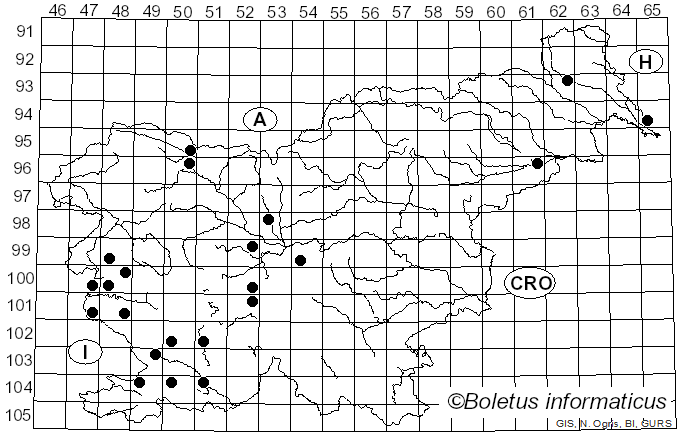 <i>Cyclaneusma</i> DiCosmo, Peredo & Minter (1983)