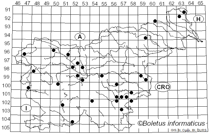 <i>Mycena abramsii</i> (Murrill) Murrill (1916)
