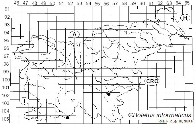 <i>Pluteus podospileus</i> Sacc. & Cub. (1887)