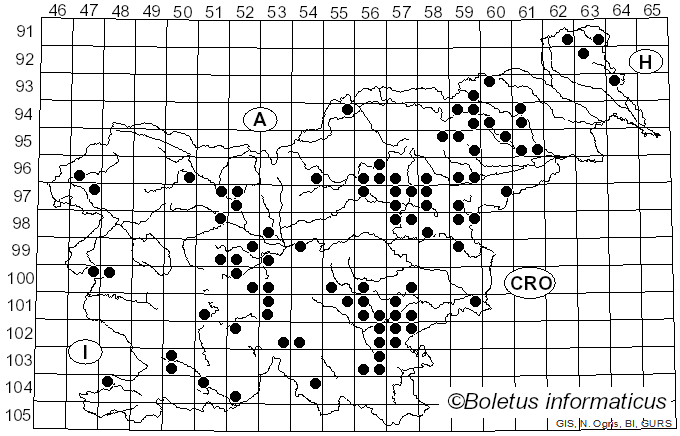 <i>Butyriboletus regius</i> (Krombh.) D. Arora & J.L. Frank (2014)