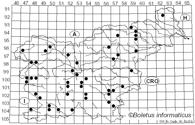 <i>Lepista ricekii</i> Bon (1983)