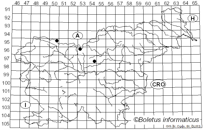 <i>Phaeosphaeria silenes-acaulis</i> (De Not.) L. Holm (1957)