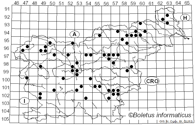 <i>Legaliana badia</i> (Pers.) Van Vooren (2020)