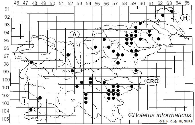 <i>Cortinarius bivelus</i> (Fr.) Fr. (1838)