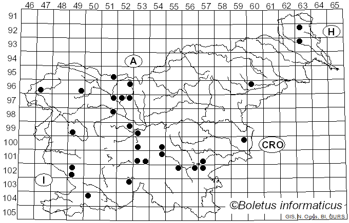 <i>Phyllotopsis nidulans</i> (Pers.) Singer (1936)
