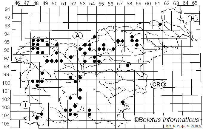 <i>Monochamus sutor</i> Linnaeus (1758)