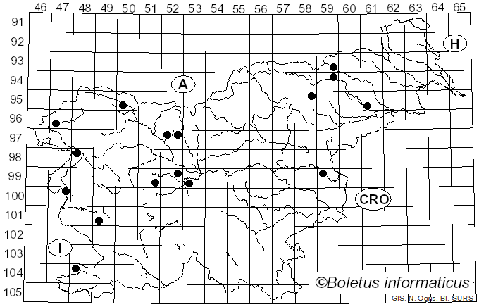 <i>Gliophorus irrigatus</i> (Pers.) A.M. Ainsw. & P.M. Kirk (2013)