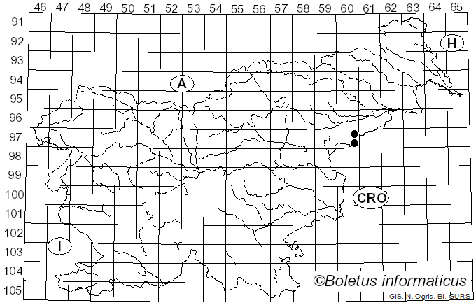 <i>Hirschioporus pergamenus</i> (Fr.) Bondartsev & Singer (1941)