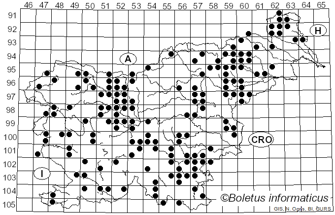 <i>Exidia</i> Fr. (1822)
