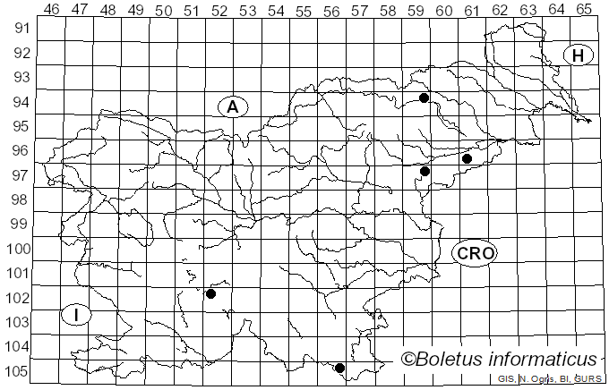 <i>Gymnopus alkalivirens</i> (Singer) Halling (1997)