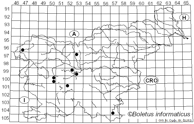 <i>Rhopographus</i> Nitschke ex Fuckel (1870)