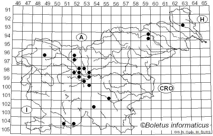 <i>Rhizopogon luteolus</i> Fr. (1817)