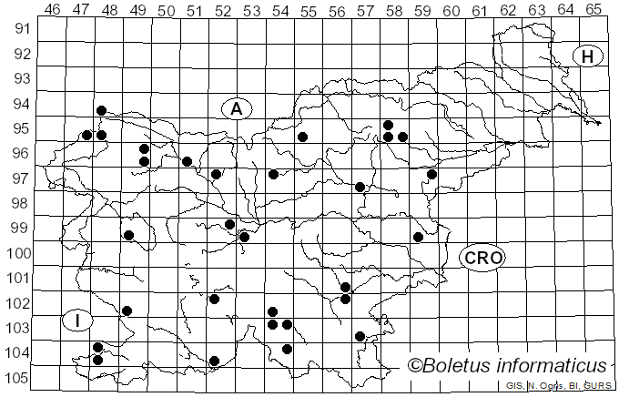 <i>Cortinarius hercynicus</i> (Pers.) M.M. Moser (1967)