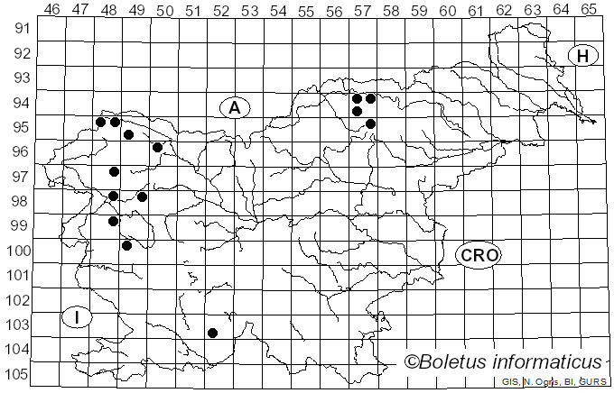 <i>Opegrapha rufescens</i> Pers. (1794)
