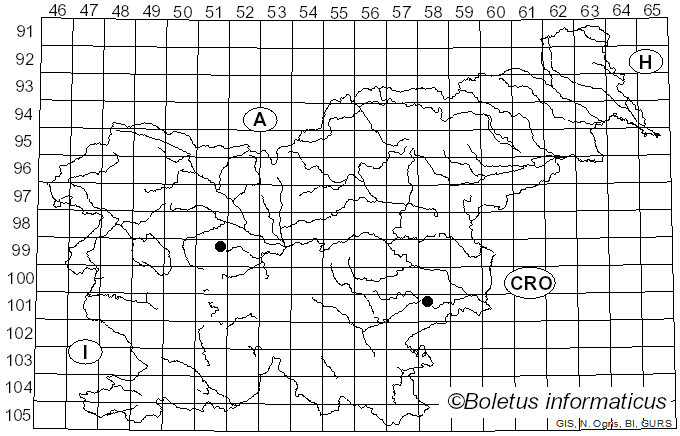 <i>Bolbitius pluteoides</i> M.M. Moser (1978)