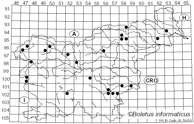 <i>Pholiota lubrica</i> (Pers.) Singer (1951)