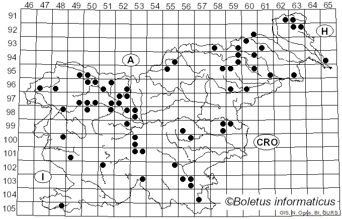 <i>Kretzschmaria</i> Fr. (1849)