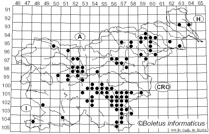 <i>Amanita eliae</i> Quél. (1872)