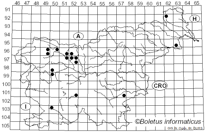 <i>Rhizocybe</i> Vizzini, G. Moreno, P. Alvarado & Consiglio (2015)