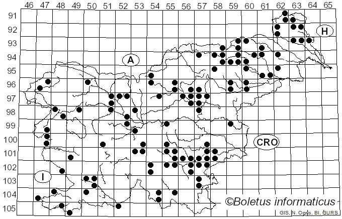 <i>Hapalopilus nidulans</i> (Fr.) P. Karst. (1881)