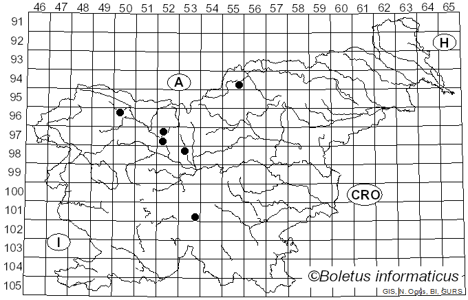 <i>Fuligo rufa</i> Pers. (1794)