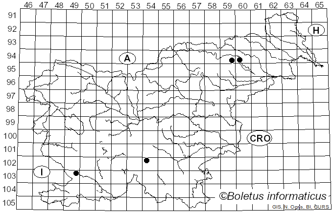 <i>Inocybe praetervisa</i> Quél. (1883)