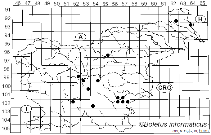 <i>Agaricus vaporarius</i> (Pers.) Cappelli (1984)
