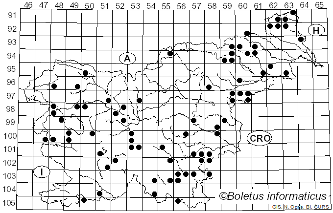 <i>Biscogniauxia nummularia</i> (Bull.) Kuntze (1891)