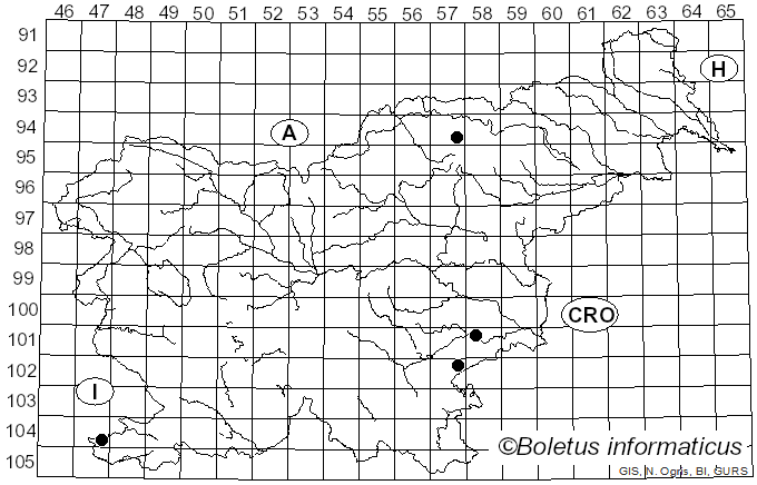 <i>Mycenella bryophila</i> (Voglino) Singer (1951)
