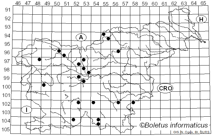 <i>Sphaerotheca</i> Lév. (1851)