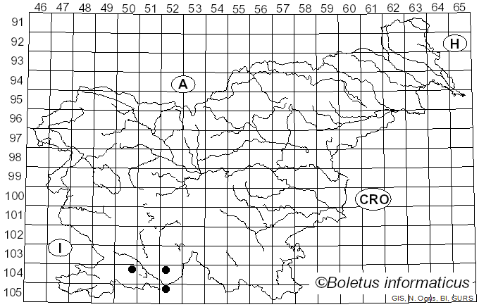 <i>Schizothecium</i> Corda (1838)