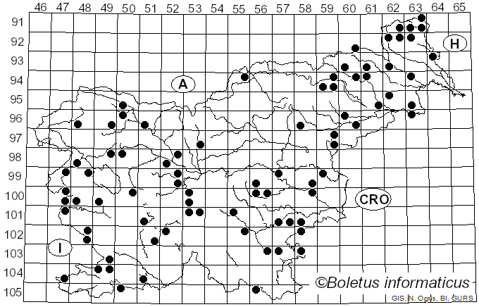 <i>Biscogniauxia</i> Kuntze (1891)