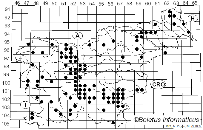 <i>Hygrophorus pudorinus</i> (Fr.) Fr. (1836)