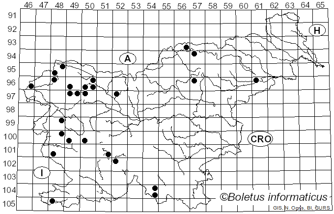 <i>Candelaria</i> A. Massal. (1852)