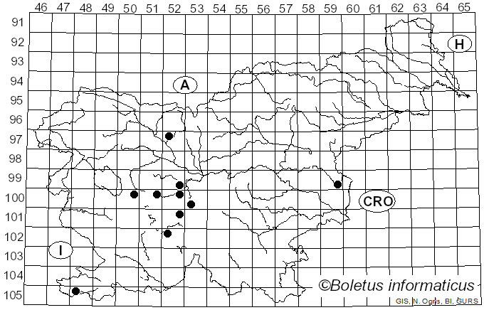 <i>Neoascia</i> Williston (1886)