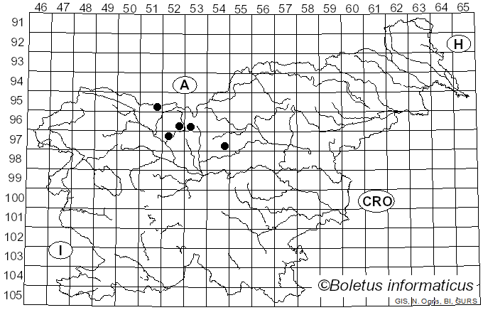 <i>Mycosphaerella primulae</i> (Auersw. & Heufl.) J. Schröt. (1894)