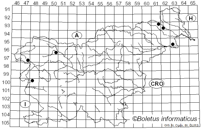 <i>Hypoxylon cercidicola</i> (Berk. & M.A. Curtis ex Peck) Y.M. Ju & J.D. Rogers (1996)
