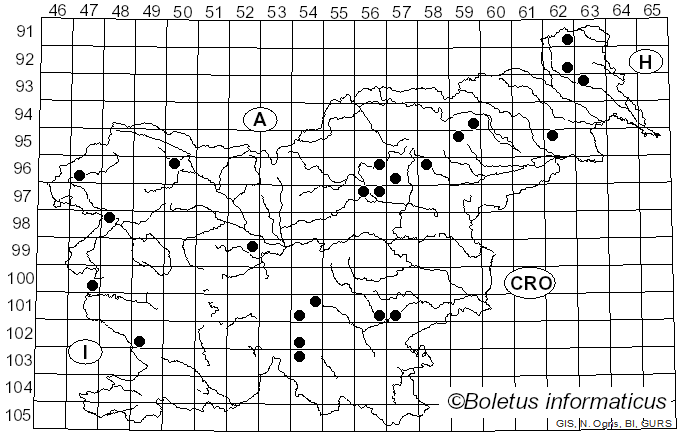 <i>Macrolepiota olivascens</i> Singer & M.M. Moser (1961)